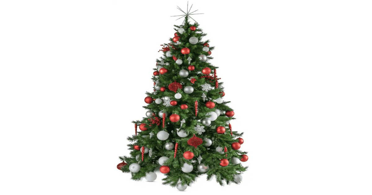 Top Christmas Decor Ideas for 2025 Event Planner Bangalore