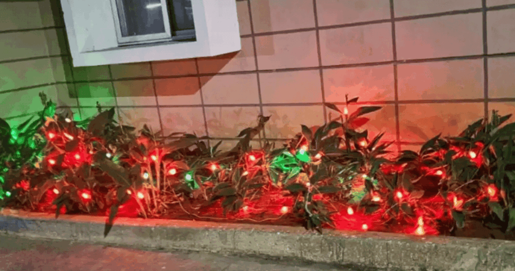 top christmas decor ideas Festive Lighting Ideas for a Magical Atmosphere